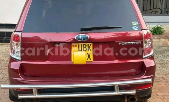 Buy Used Subaru Forester Red Car in Iganga in Uganda Buy Used Subaru Forester Red Car in Iganga in Uganda