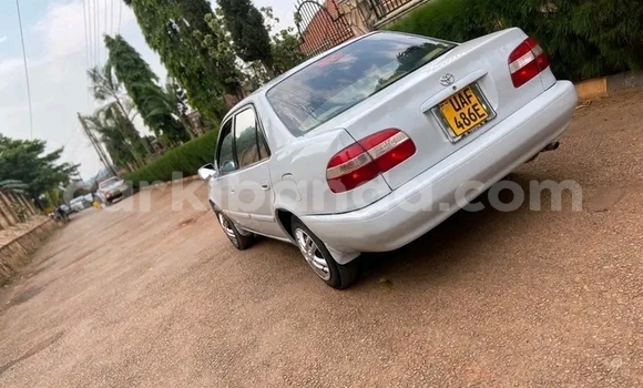 Gura Yakoze Toyota 2000GT Other Imodoka i Bugiri mu Eastern Gura Yakoze Toyota 2000GT Other Imodoka i Bugiri mu Eastern