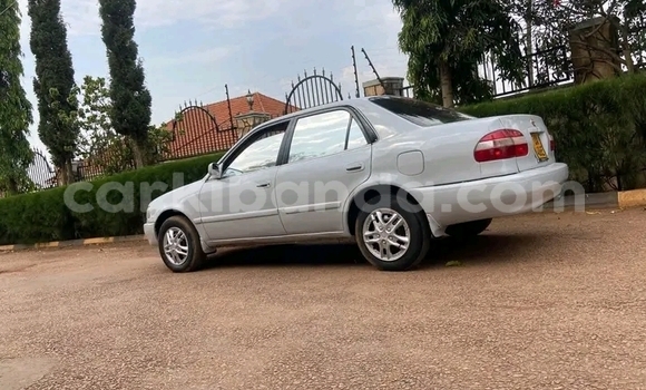 Gura Yakoze Toyota 2000GT Other Imodoka i Bugiri mu Eastern Gura Yakoze Toyota 2000GT Other Imodoka i Bugiri mu Eastern