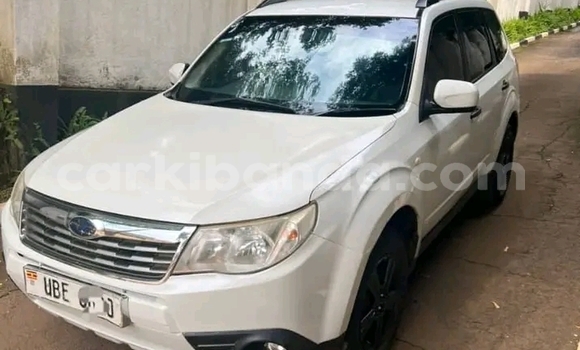 Buy Used Subaru Forester White Car in Bundibugyo in Western