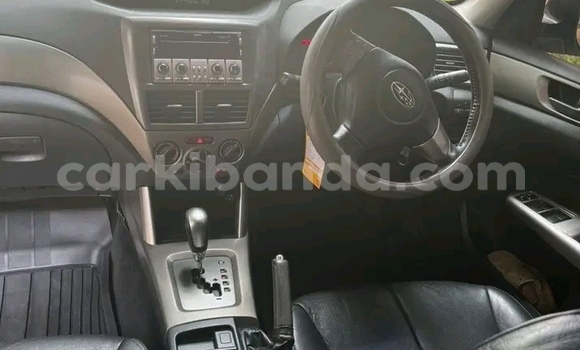 Gura Yakoze Subaru Forester White Imodoka i Bundibugyo mu Western Gura Yakoze Subaru Forester White Imodoka i Bundibugyo mu Western