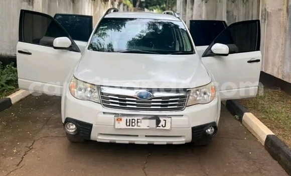 Gura Yakoze Subaru Forester White Imodoka i Bundibugyo mu Western Gura Yakoze Subaru Forester White Imodoka i Bundibugyo mu Western