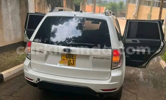 Gura Yakoze Subaru Forester White Imodoka i Bundibugyo mu Western Gura Yakoze Subaru Forester White Imodoka i Bundibugyo mu Western