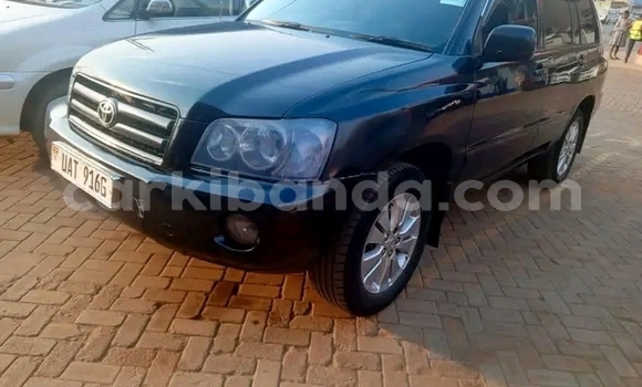 Gura Yakoze Toyota Kluger Black Imodoka i Kamuli mu Eastern Gura Yakoze Toyota Kluger Black Imodoka i Kamuli mu Eastern