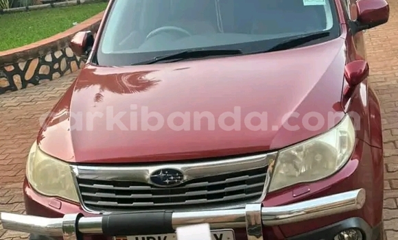 Gura Yakoze Subaru Forester Red Imodoka i Hima mu Western Gura Yakoze Subaru Forester Red Imodoka i Hima mu Western