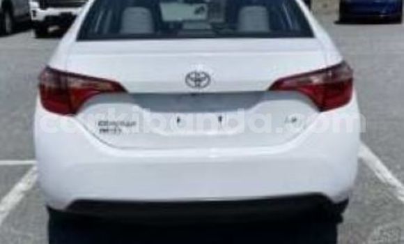 Buy Used Toyota Corolla White Car in Bombo in Central