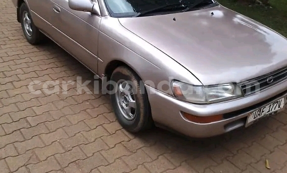 Buy Used Toyota Corolla Silver Car in Kampala in Uganda