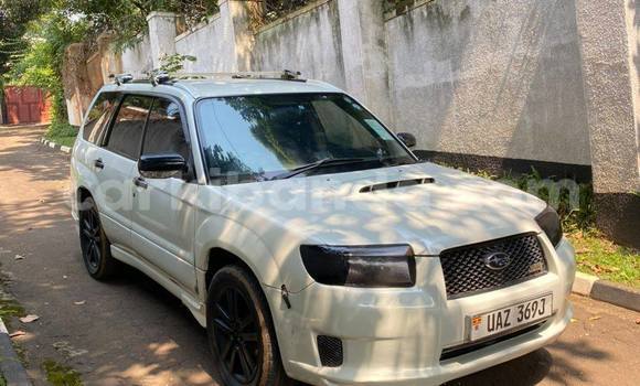 Buy Used Subaru Impreza White Car in Kampala in Uganda