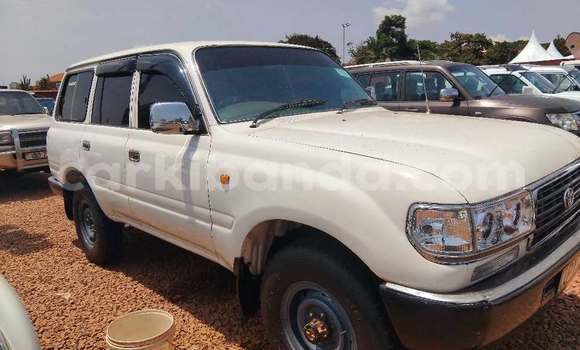Buy Used Toyota Land Cruiser White Car in Kampala in Uganda