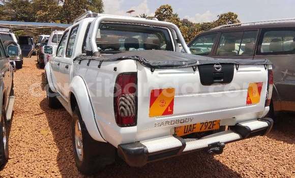 Buy Used Nissan Hardbody White Car in Bundibugyo in Western Buy Used Nissan Hardbody White Car in Bundibugyo in Western
