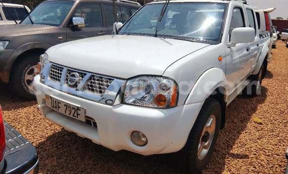 Buy Used Nissan Hardbody White Car in Bundibugyo in Western Buy Used Nissan Hardbody White Car in Bundibugyo in Western