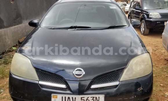 Buy Used Nissan Primera Black Car in Kampala in Uganda