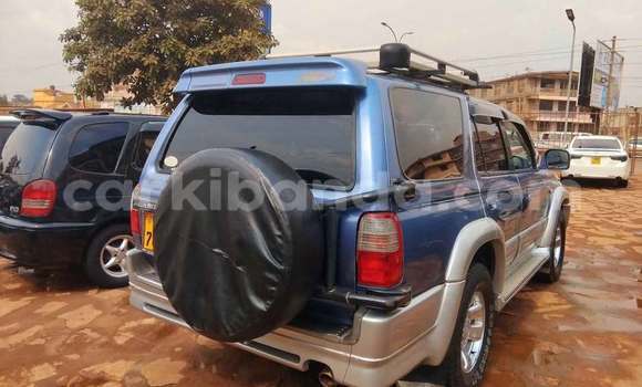 Acheter Occasion Voiture Toyota Hilux Surf Bleu à Kampala, Ouganda Acheter Occasion Voiture Toyota Hilux Surf Bleu à Kampala, Ouganda