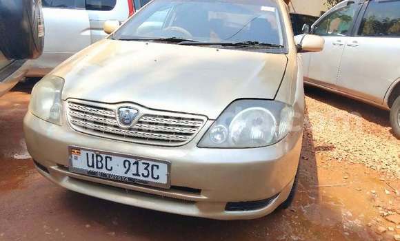 Buy Used Toyota Allex Other Car in Kampala in Uganda