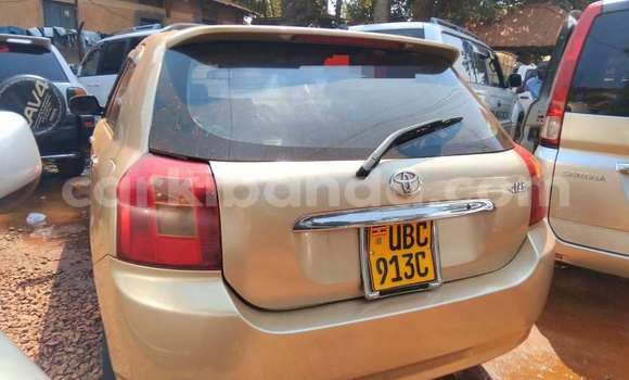 Acheter Occasion Voiture Toyota Allex Autre à Kampala, Ouganda Acheter Occasion Voiture Toyota Allex Autre à Kampala, Ouganda