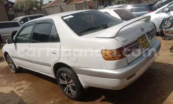 Acheter Occasion Voiture Toyota Land Cruiser Prado Autre à Kampala, Ouganda Acheter Occasion Voiture Toyota Land Cruiser Prado Autre à Kampala, Ouganda
