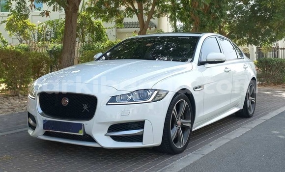 Buy Used Jaguar XF White Car in Kampala in Uganda