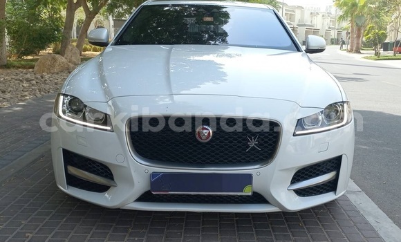 Acheter Occasion Voiture Jaguar XF Blanc à Kampala, Ouganda Acheter Occasion Voiture Jaguar XF Blanc à Kampala, Ouganda