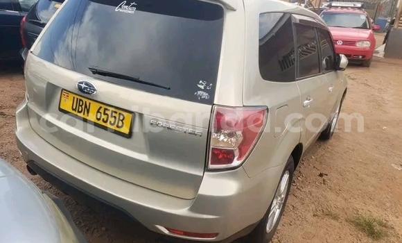 Gura Yakoze Subaru Forester Other Imodoka i Bundibugyo mu Western Gura Yakoze Subaru Forester Other Imodoka i Bundibugyo mu Western