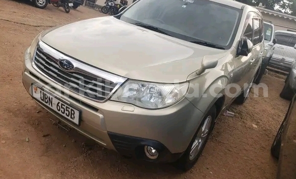 Gura Yakoze Subaru Forester Other Imodoka i Bundibugyo mu Western Gura Yakoze Subaru Forester Other Imodoka i Bundibugyo mu Western