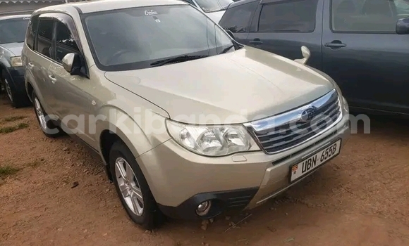 Gura Yakoze Subaru Forester Other Imodoka i Bundibugyo mu Western Gura Yakoze Subaru Forester Other Imodoka i Bundibugyo mu Western