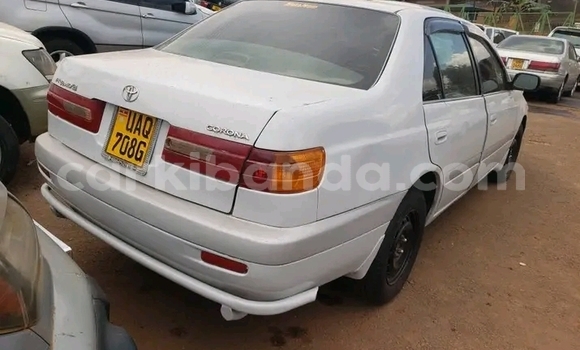 Buy Used Toyota Premio White Car in Bugiri in Eastern
