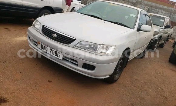 Gura Yakoze Toyota Premio White Imodoka i Bugiri mu Eastern Gura Yakoze Toyota Premio White Imodoka i Bugiri mu Eastern