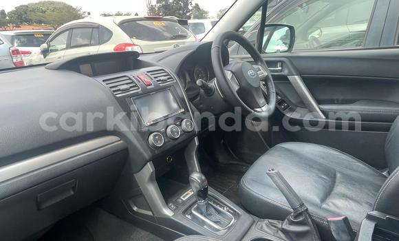 Buy Import Subaru Forester White Car in Kampala in Uganda Buy Import Subaru Forester White Car in Kampala in Uganda