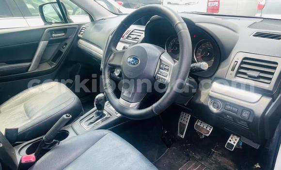 Buy Import Subaru Forester White Car in Kampala in Uganda Buy Import Subaru Forester White Car in Kampala in Uganda