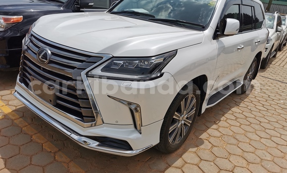Buy Import Lexus LX 570 White Car in Kampala in Uganda Buy Import Lexus LX 570 White Car in Kampala in Uganda