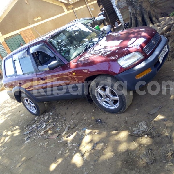 Big with watermark 49148402 2325727310806064 1340773929500803072 n