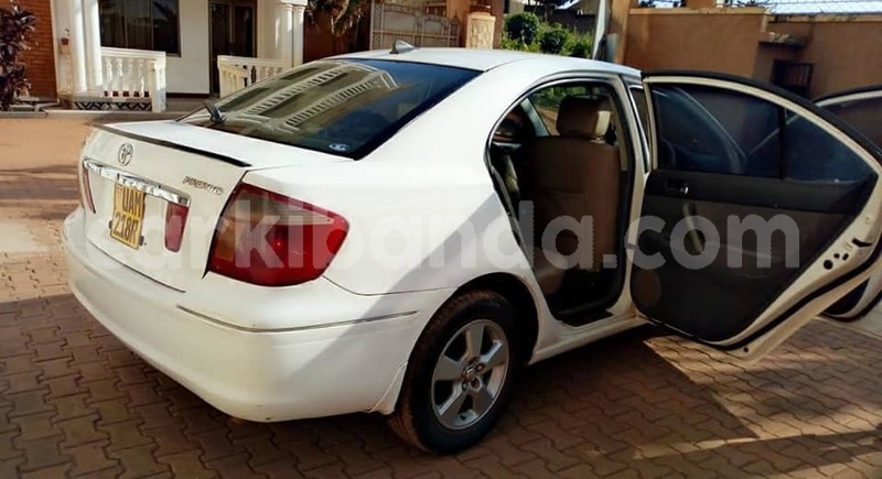 Big with watermark 48381591 2306272882751507 1499262328711938048 n