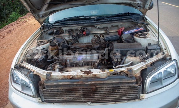 Buy Used Toyota RAV4 White Car in Kampala in Uganda Buy Used Toyota RAV4 White Car in Kampala in Uganda