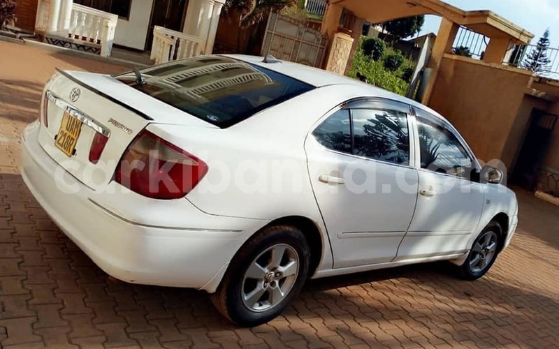 Big with watermark 48416356 2306272779418184 595582633899982848 n