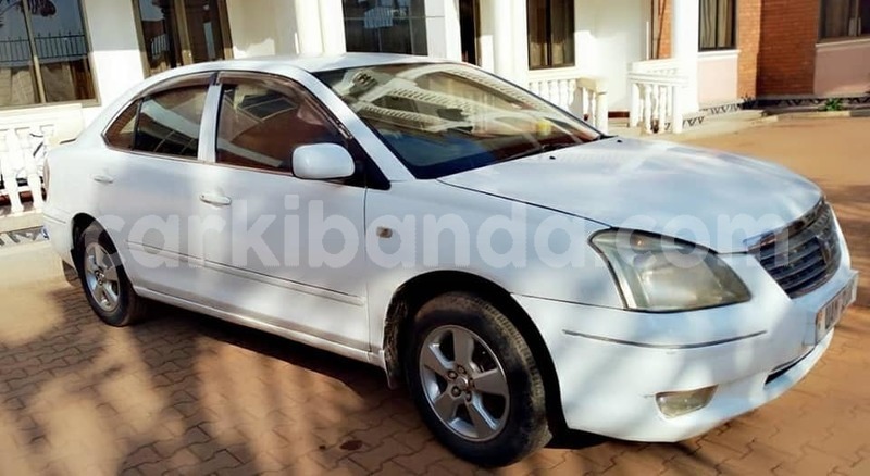 Big with watermark 48383094 2306272682751527 472922340770971648 n