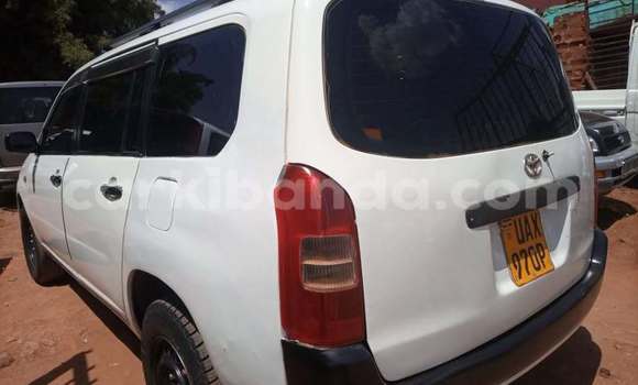 Acheter Occasion Voiture Toyota Probox Blanc à Kampala, Ouganda Acheter Occasion Voiture Toyota Probox Blanc à Kampala, Ouganda