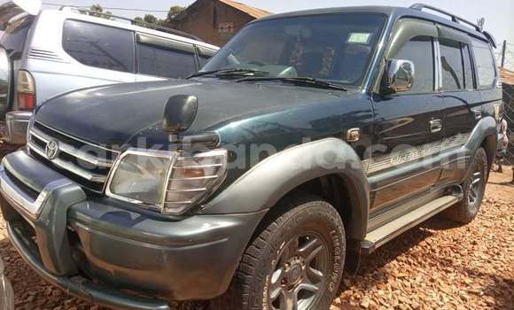 Buy Used Toyota Probox Other Car in Kampala in Uganda
