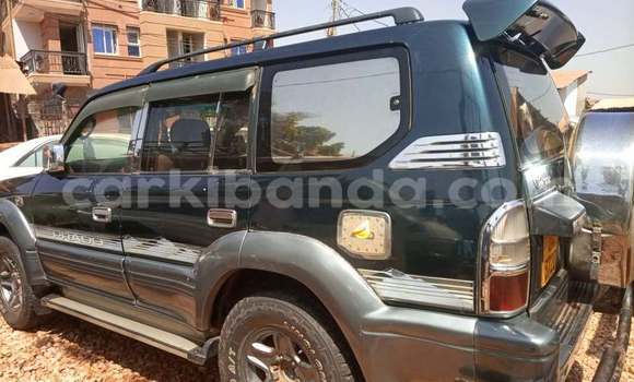 Acheter Occasion Voiture Toyota Probox Autre à Kampala, Ouganda Acheter Occasion Voiture Toyota Probox Autre à Kampala, Ouganda