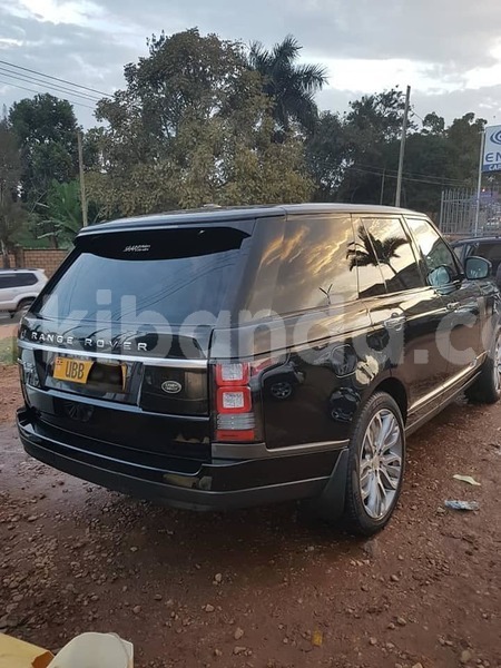 Big with watermark 48388165 2303220469723415 7186741331555778560 n