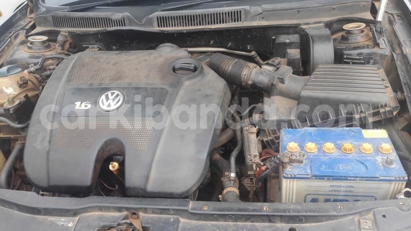 Big with watermark 48403058 2297452210300241 3990948452564467712 n