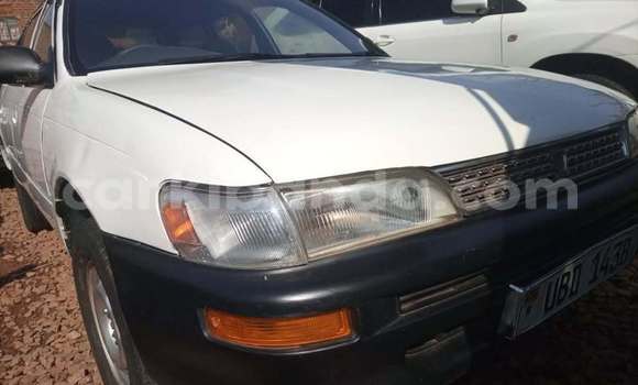 Buy Used Toyota Corolla White Car in Kampala in Uganda