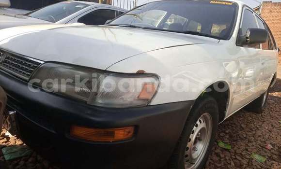 Gura Yakoze Toyota Corolla White Imodoka i Kampala mu Uganda Gura Yakoze Toyota Corolla White Imodoka i Kampala mu Uganda