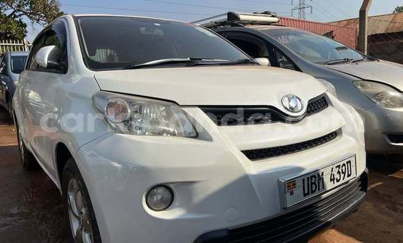 Buy Used Toyota IST White Car in Kampala in Uganda
