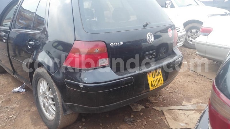 Big with watermark 48363864 2297452150300247 4450761810118705152 n