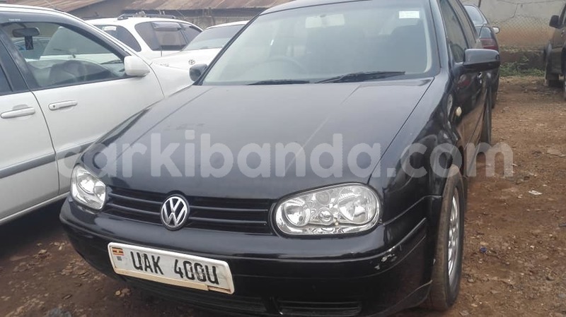 Big with watermark 48226580 2297452080300254 7086171687317667840 n