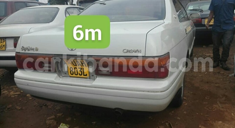 Big with watermark 48357498 2296046450440817 6486202491649130496 n