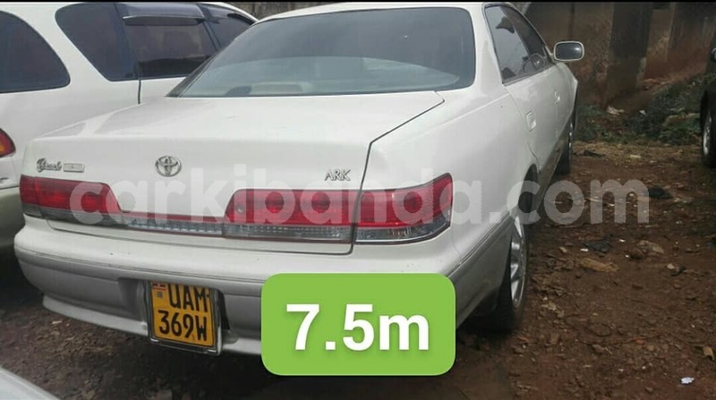 Big with watermark 48269119 2296046650440797 361710690991341568 n