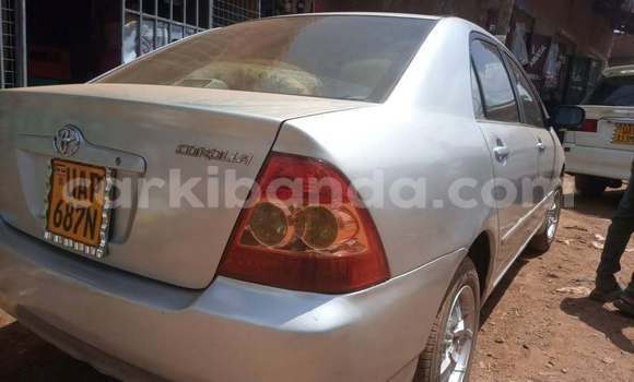 Acheter Occasion Voiture Toyota Corolla Autre à Kampala, Ouganda Acheter Occasion Voiture Toyota Corolla Autre à Kampala, Ouganda