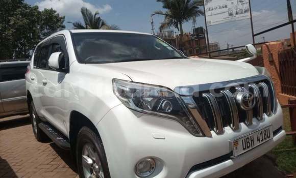 Buy Used Toyota Land Cruiser Prado White Car in Kampala in Uganda