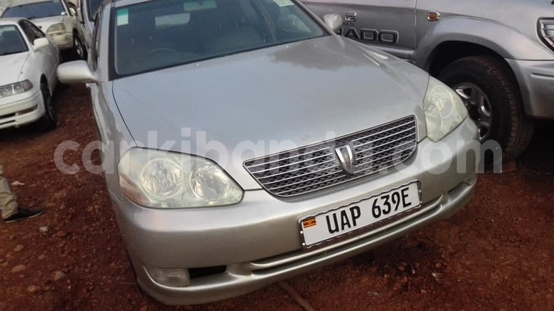 Big with watermark 47110655 2273553176023478 4294692628546453504 n